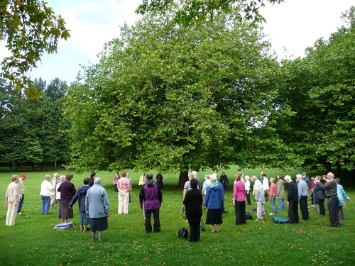 Tom McGrath July 2010